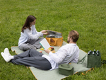 Плед дорожный Smart Picnic | зеленый