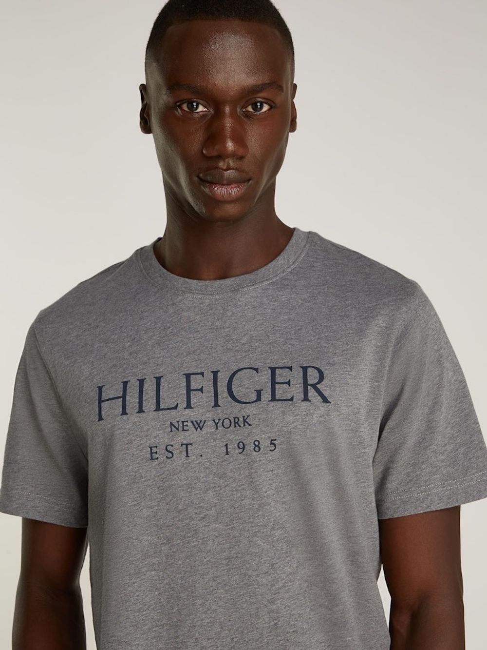 Футболка мужская TOMMY HILFIGER BIG HILFIGER TEE