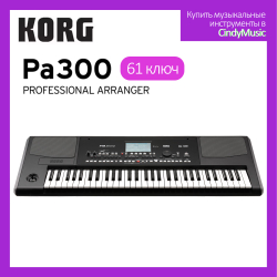 Korg PA300 аранжировщик клавишный синтезатор электронный органПанель управления на английском