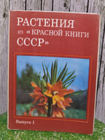 Растения из Красной книги СССР . Почтовые открытки (Комплект из 25 открыток)