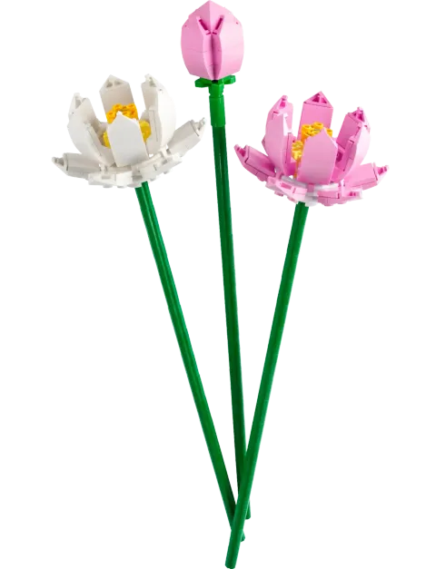 Конструктор LEGO Botanical Collection 40647 Цветы лотоса