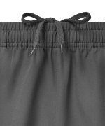 Шорты парадные JÖGEL PREMIER PerFormDRY Woven Shorts, темно-серый