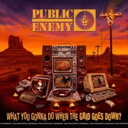 Виниловая пластинка Public Enemy — What You Gonna Do When The Grid Goes Down?