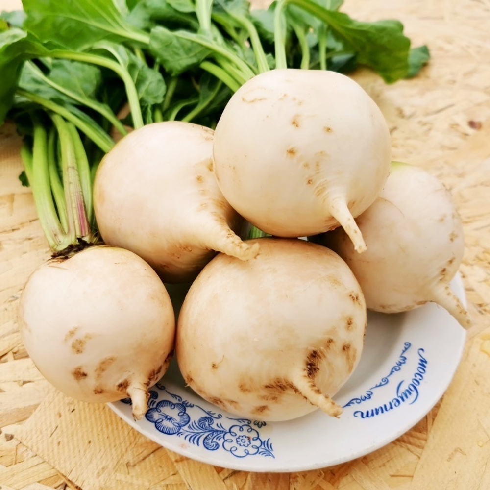 Свёкла Детройтская Белая - White Detroit Beet