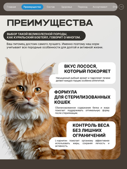 Корм сухой для стерилизованных кошек породы Курильский бобтейл кошка, с лососем, 2 кг, QUATTRO
