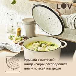 Кастрюля с крышкой Tefal LOV 25 см E2590404