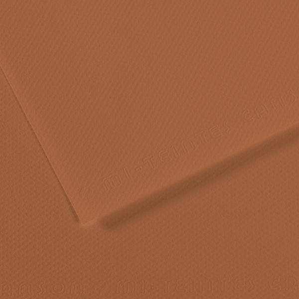 Бумага для пастели Mi-Teintes 160 г/м², A4 21х29.7 см, 25 л, №187 Цвет корицы, Canson, C31032S049