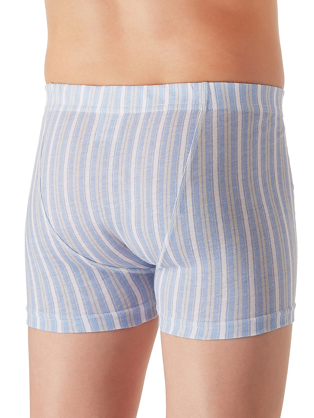 BSH-326/BSH-334-4 трусы для мальчиков