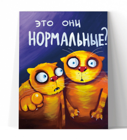 Это они нормальные?
