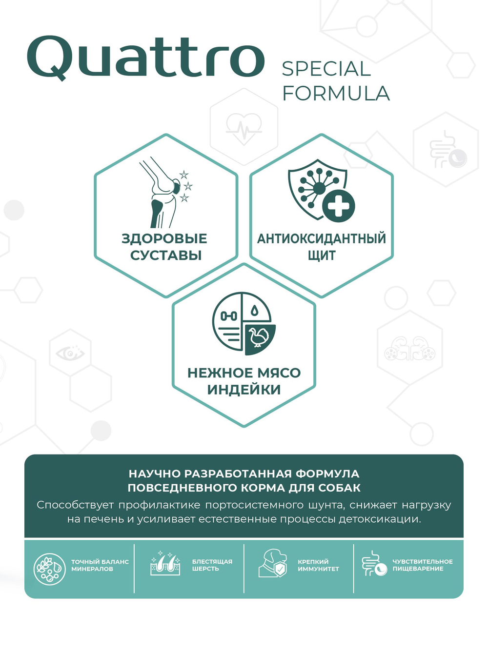 Корм для собак мелких пород SF Hepato Flow, (портосистемный шунт), 3 кг, QUATTRO