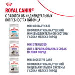Royal Canin Pug Adult Мопс Эдалт Корм сухой для взрослых собак породы Мопс от 10 месяцев 1,5кг