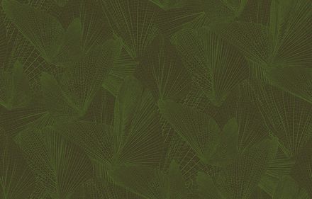 Amazonia / Амазония