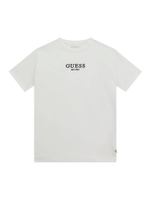 Футболка Guess - белый(L4BI07 J1314)