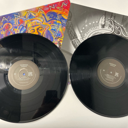 Винтажная виниловая пластинка LP Santana Shaman (Европейский Союз 2002)