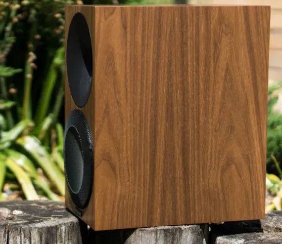Amphion Argon1 Walnut