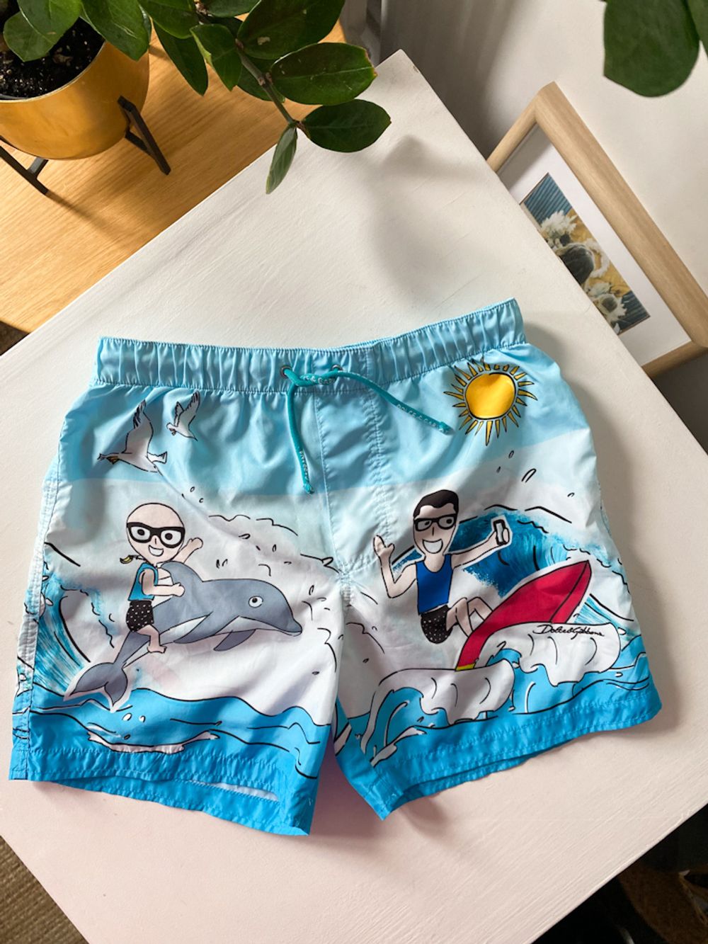 Плавательные шорты Dolce&Gabbana, 116