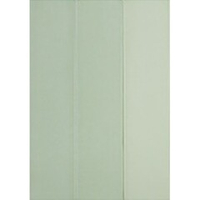 DNA Candy Mint 5x20