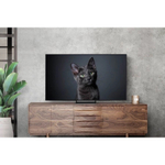 Телевизор Samsung OLED 4K QE55S90CAUXRU