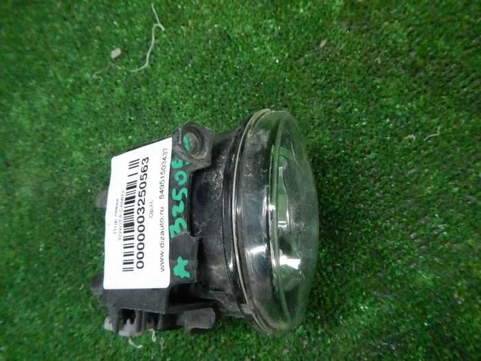 DSCN9532.JPG