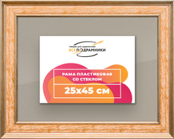 Рамка 25x45 для постера и фотографий