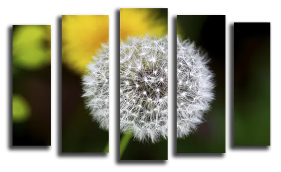 Модульная картина "Одуванчик"