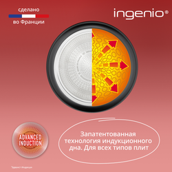 Набор посуды со съемной ручкой Tefal Ingenio Daily Chef Black 5 предметов 16/20/24/28 см L7629102