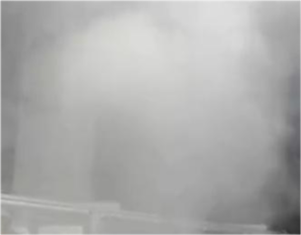 Генератор тумана Haze 900