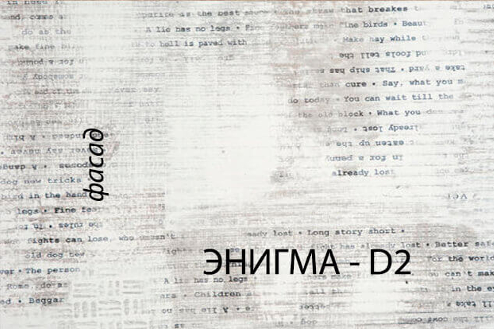Шкаф 2DG2S/D2, DIESEL , цвет дуб мадура/энигма