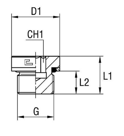 Заглушка V (Ш) BSP 3/4 o-ring