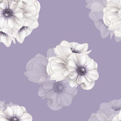 Анемоны на сиреневом фоне. Акварельные цветы.