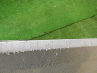 DSCN1226.jpg