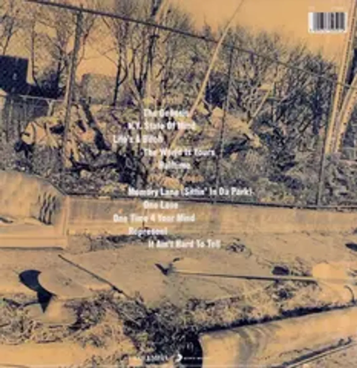 Виниловая пластинка. NAS - Illmatic