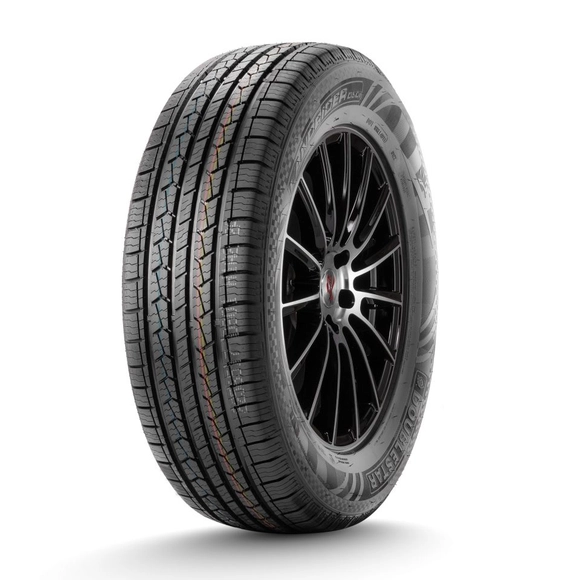 Летняя шина DoubleStar DS01 (225/60 R18 100T)