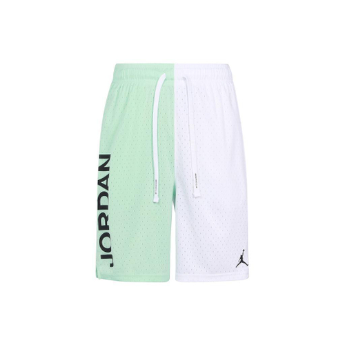 Шорты Jordan Logo спортивные, голуб.