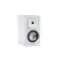 Martin Logan Foundation B2 Satin White