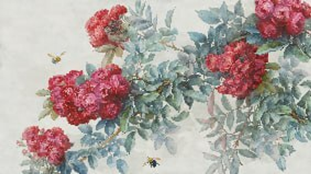 Дизайнерские №2 Фотообои и Фрески