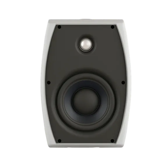 CVGAUDIO ODF416TW настенная акустическая система