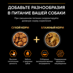 Сухой корм PRO PLAN EVERYDAY NUTRITION для взрослых собак мелких и карликовых пород курица 7 кг