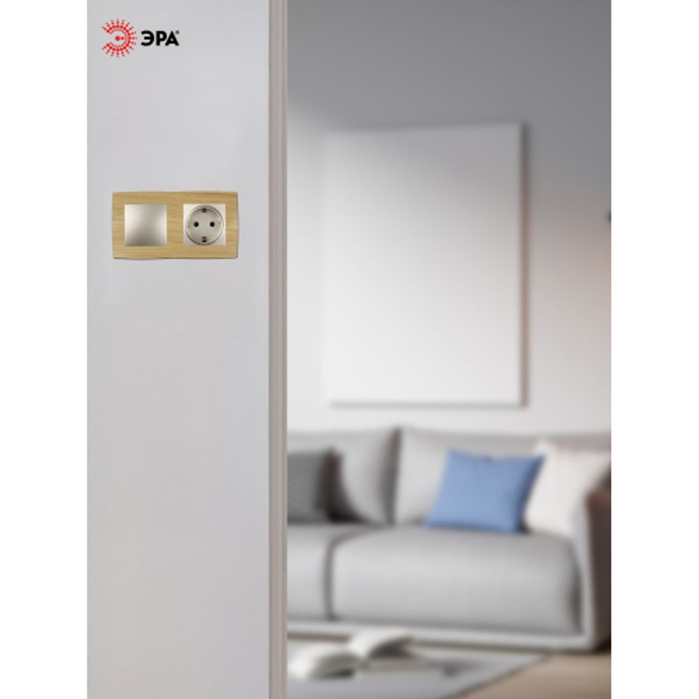 12-5002-11 ЭРА Рамка на 2 поста, Эра12, сосна | Эра 12