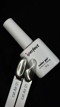 Air cat 01 color gel Iperfect 10g