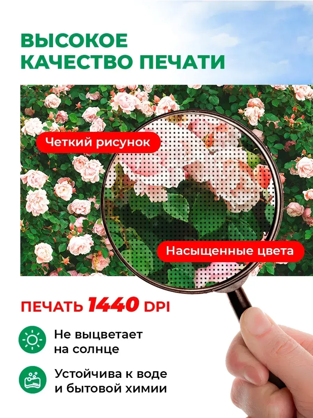 Фотосетка на забор кусты яркие цветы розы 3,16х2 м