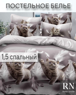 Комплект постельного белья, Поплин, 1,5 спальный, Котята с перьями
