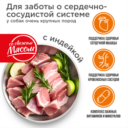 Корм сухой для взрослых собак очень крупных пород, премиум полнорационный комплекс, для заботы сердечно-сосудистой системы, с индейкой, 2,5 кг, QUATTRO