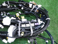 DSCN9519.JPG