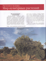 Растения и человек