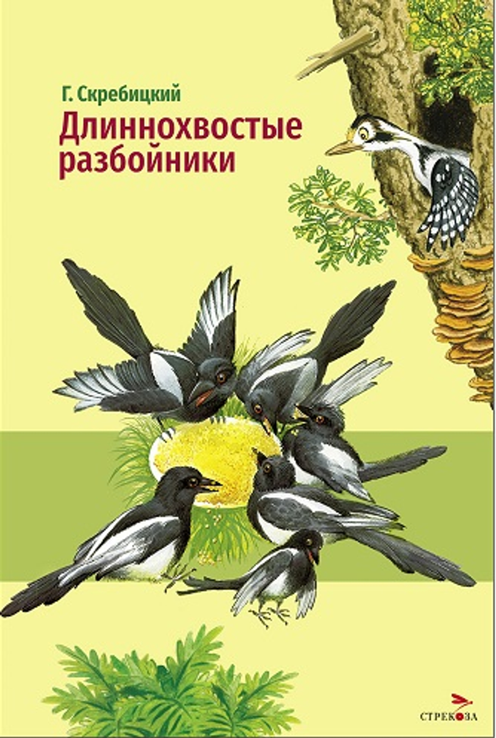 Внеклассное чтение