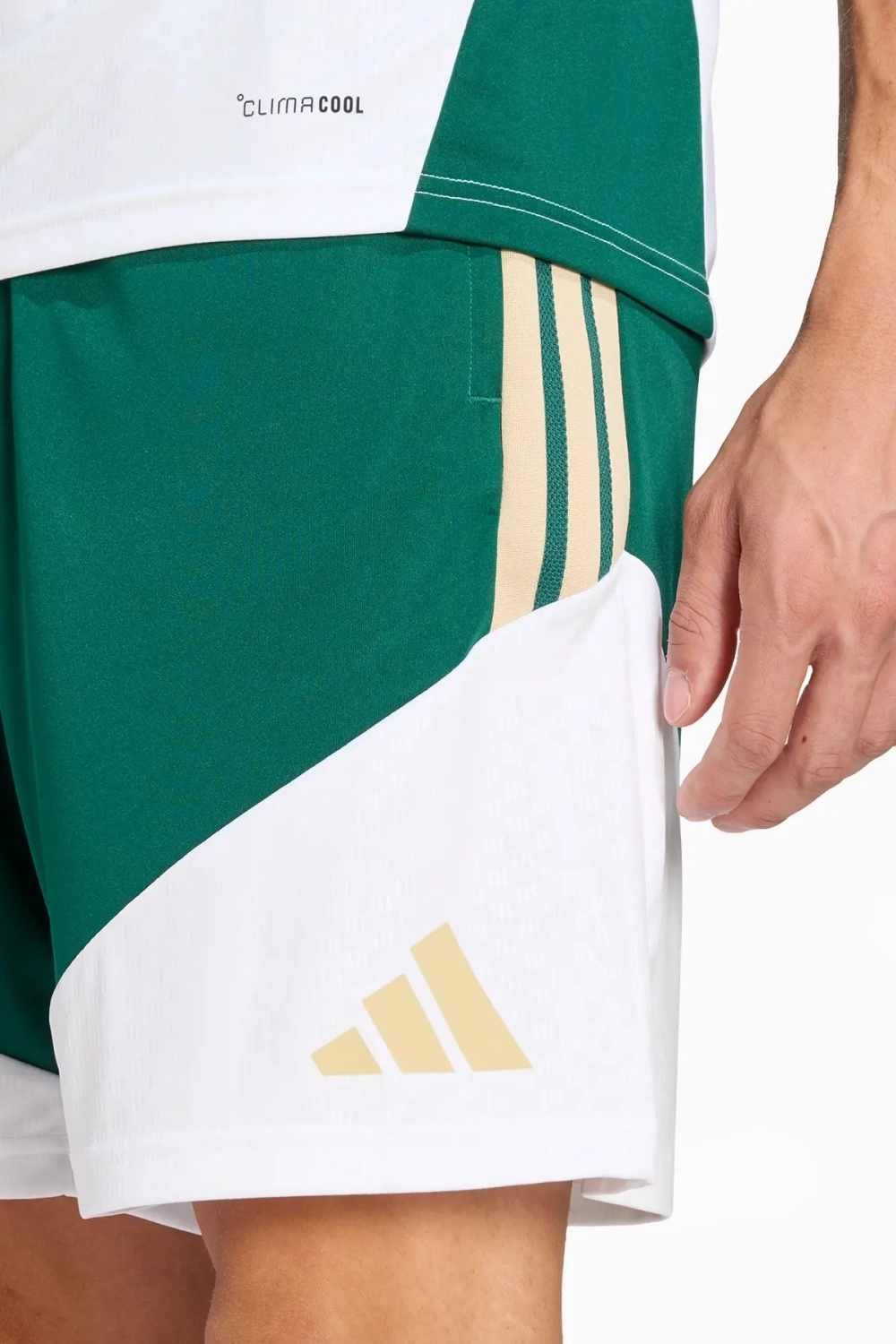 Шорты adidas Италия 2026 Training - зеленый