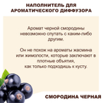 СМОРОДИНА ЧЕРНАЯ- Наполнитель для ароматического диффузора