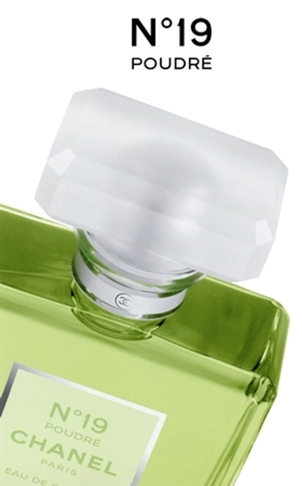 Chanel No 19 Poudre