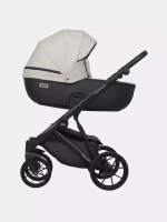 Коляска MONTANA ECCO (2 в 1) (RIKO BASIC)